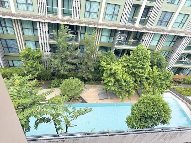 Zcape 3, Phuket, Thep Krasattri Road, Wichit, Muang Phuket, Phuket, Studio, 28 sqm, Condo For Rent, by Chanatip Boonmuang, 500615943 - DDproperty.com