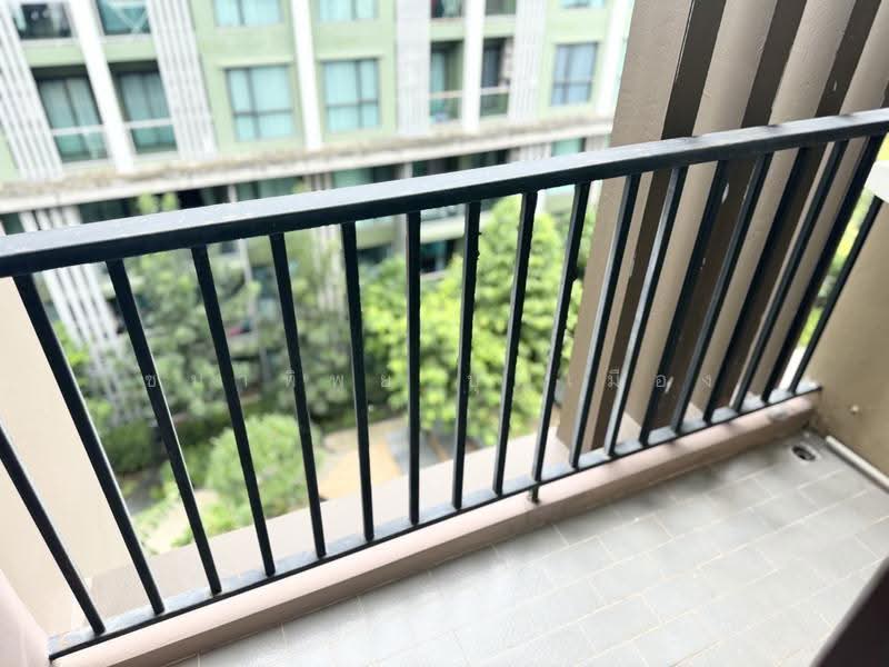 Zcape 3, Phuket, Thep Krasattri Road, Wichit, Muang Phuket, Phuket, Studio, 28 sqm, Condo For Rent, by Chanatip Boonmuang, 500615943 - DDproperty.com
