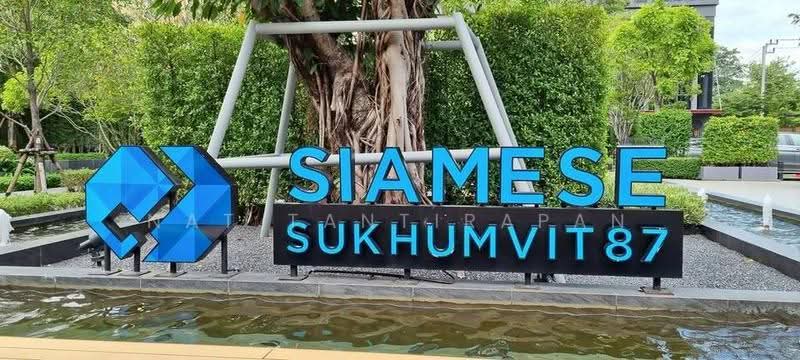 Siamese Sukhumvit 48, Bangkok, 1498 Soi Sukhumvit 48, Phra Kanong, Khlong Toei, Bangkok, 1 Bedroom, 40 sqm, Condo For Rent, by Nat Tantirapan, 500616258 - DDproperty.com