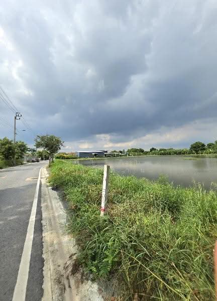 Large land plot for sale in Samut Prakan (8 Rai, 42 Sq. Wah) on Phraeksa Road., Samut Prakan, แพรกษา, Bang Mueng, Muang Samut Prakarn, Samut Prakan, , 12,968 sqm, Land For Sale, by Fareeda Thaipatan, 500616516 - DDproperty.com