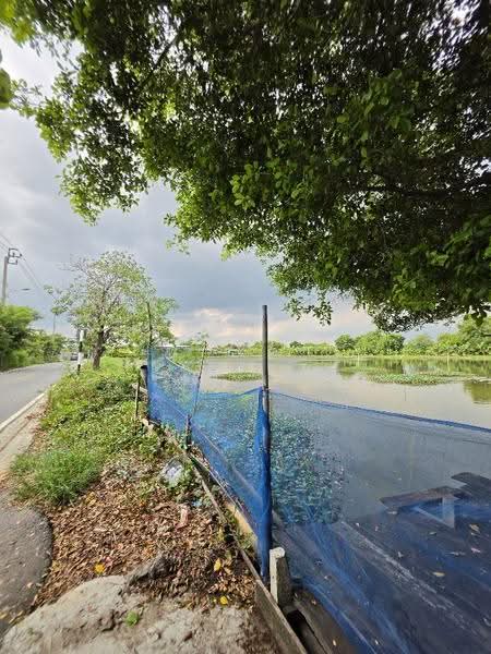 Large land plot for sale in Samut Prakan (8 Rai, 42 Sq. Wah) on Phraeksa Road., Samut Prakan, แพรกษา, Bang Mueng, Muang Samut Prakarn, Samut Prakan, , 12,968 sqm, Land For Sale, by Fareeda Thaipatan, 500616516 - DDproperty.com