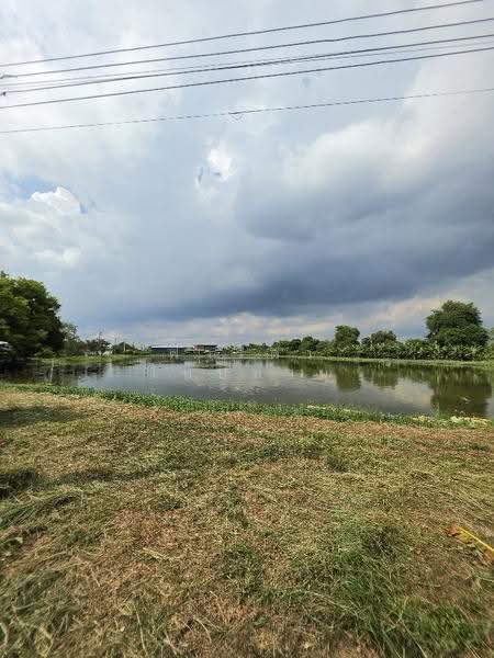 Large land plot for sale in Samut Prakan (8 Rai, 42 Sq. Wah) on Phraeksa Road., Samut Prakan, แพรกษา, Bang Mueng, Muang Samut Prakarn, Samut Prakan, , 12,968 sqm, Land For Sale, by Fareeda Thaipatan, 500616516 - DDproperty.com