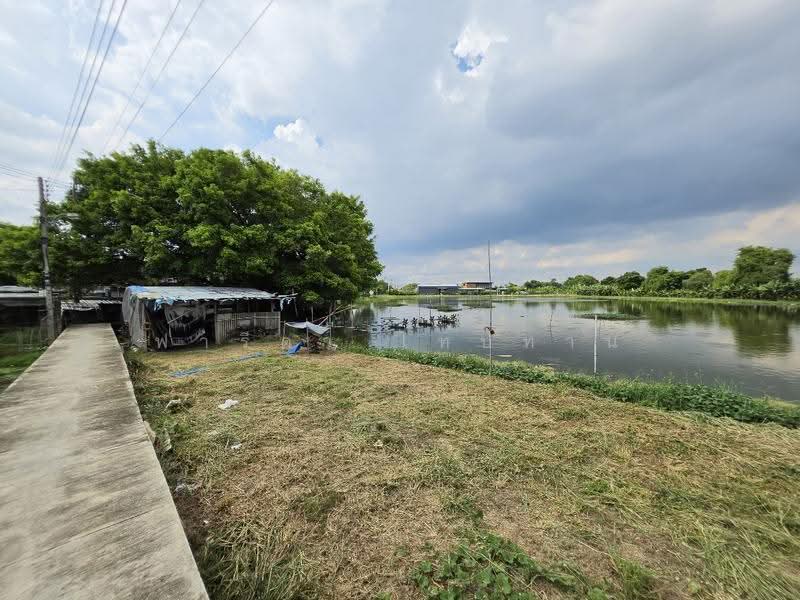 ขายที่ดินสมุทรปราการ แปลงใหญ่ 8 ไร่ 42 ตร.ว. ถนนแพรกษา อำเภอเมือง ผังสีเหลือง, สมุทรปราการ, แพรกษา, บางเมือง, เมืองสมุทรปราการ, สมุทรปราการ, 12,968 ตร.ม., ที่ดิน ขาย, โดย ฟารีดา ไทปทาน, 500616516 - DDproperty.com