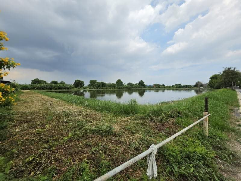 Large land plot for sale in Samut Prakan (8 Rai, 42 Sq. Wah) on Phraeksa Road., Samut Prakan, แพรกษา, Bang Mueng, Muang Samut Prakarn, Samut Prakan, , 12,968 sqm, Land For Sale, by Fareeda Thaipatan, 500616516 - DDproperty.com