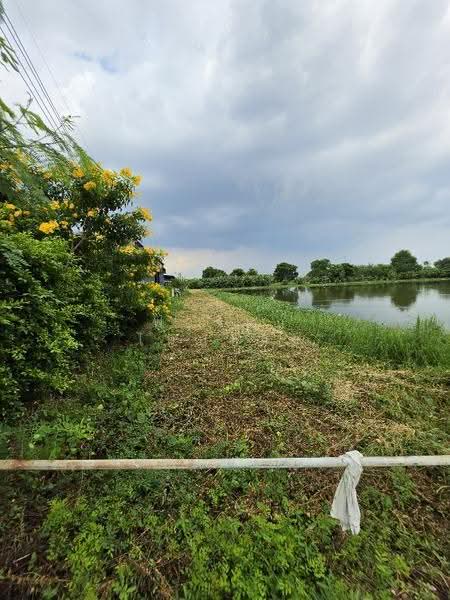 Large land plot for sale in Samut Prakan (8 Rai, 42 Sq. Wah) on Phraeksa Road., Samut Prakan, แพรกษา, Bang Mueng, Muang Samut Prakarn, Samut Prakan, , 12,968 sqm, Land For Sale, by Fareeda Thaipatan, 500616516 - DDproperty.com