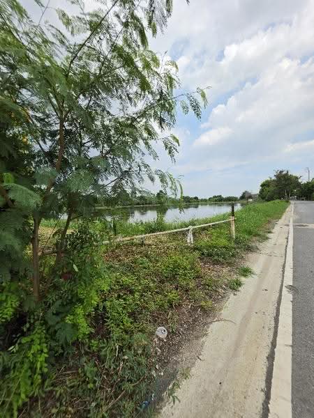 Large land plot for sale in Samut Prakan (8 Rai, 42 Sq. Wah) on Phraeksa Road., Samut Prakan, แพรกษา, Bang Mueng, Muang Samut Prakarn, Samut Prakan, , 12,968 sqm, Land For Sale, by Fareeda Thaipatan, 500616516 - DDproperty.com