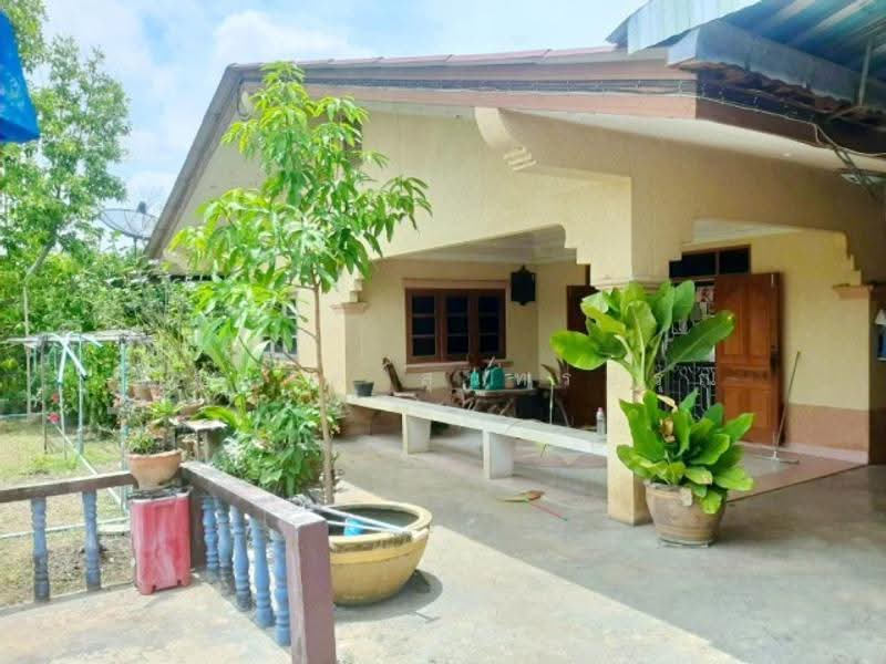 ไม่พบโครงการ, Nakhon Pathom, เพชรเกษม 375, Khlong Mai, Sam Phran, Nakhon Pathom, 6 Bedrooms, 400 sqm, Single Detached House For Rent, by ณัฐพงศ์ สุนทรอรุณ, 500616549 - DDproperty.com