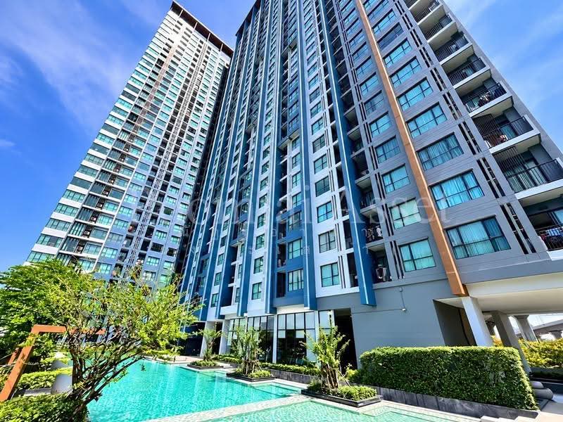 The Base Rama 9-Ramkhamhaeng, Bangkok, 3 Ramkhamhaeng Road, Hua Mak, Bang Kapi, Bangkok, 1 Bedroom, 32 sqm, Condo For Rent, by ณัฏฐ์อาณา บรรยงกะเสนา ณ อยุธยา, 500616646 - DDproperty.com