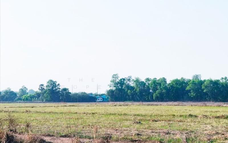 ที่ดินวังกระโจม นครนายก, นครนายก, วังกระโจม, เมืองนครนายก, นครนายก, 41,172 ตร.ม., ที่ดิน ขาย, โดย The Best Property รัก, 500616886 - DDproperty.com
