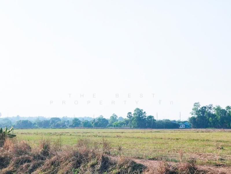 ที่ดินวังกระโจม นครนายก, นครนายก, วังกระโจม, เมืองนครนายก, นครนายก, 41,172 ตร.ม., ที่ดิน ขาย, โดย The Best Property รัก, 500616886 - DDproperty.com