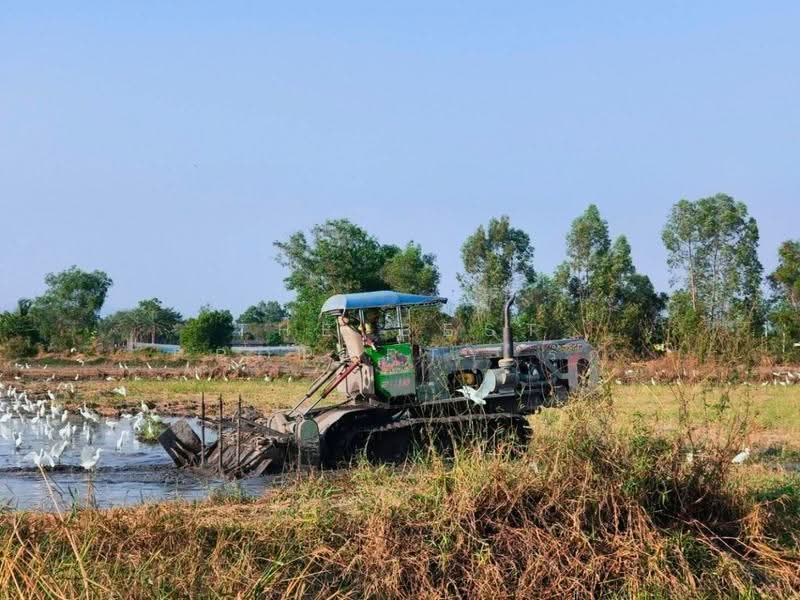ที่ดินวังกระโจม นครนายก, นครนายก, วังกระโจม, เมืองนครนายก, นครนายก, 41,172 ตร.ม., ที่ดิน ขาย, โดย The Best Property รัก, 500616886 - DDproperty.com