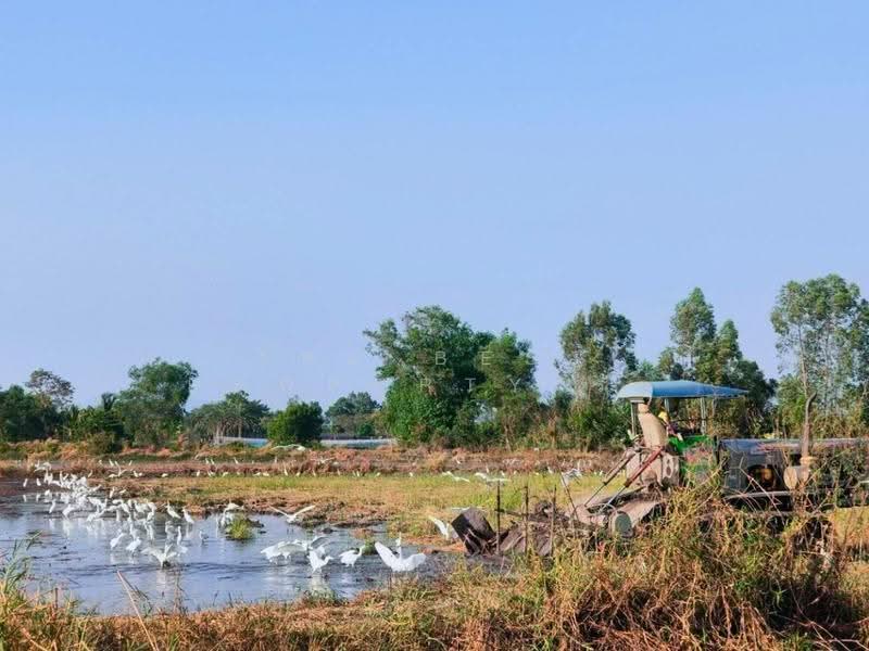 ที่ดินวังกระโจม นครนายก, Nakhon Nayok, Wang Krachom, Muang Nakhon Nayok, Nakhon Nayok, , 41,172 sqm, Land For Sale, by The Best Property รัก, 500616886 - DDproperty.com
