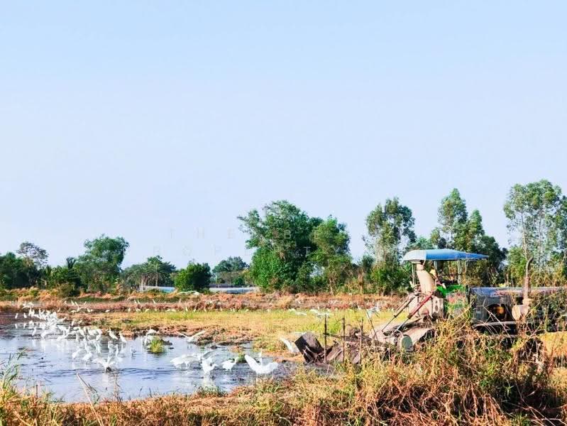 ที่ดินวังกระโจม นครนายก, Nakhon Nayok, Wang Krachom, Muang Nakhon Nayok, Nakhon Nayok, , 41,172 sqm, Land For Sale, by The Best Property รัก, 500616886 - DDproperty.com