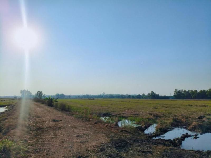 ที่ดินวังกระโจม นครนายก, นครนายก, วังกระโจม, เมืองนครนายก, นครนายก, 41,172 ตร.ม., ที่ดิน ขาย, โดย The Best Property รัก, 500616886 - DDproperty.com