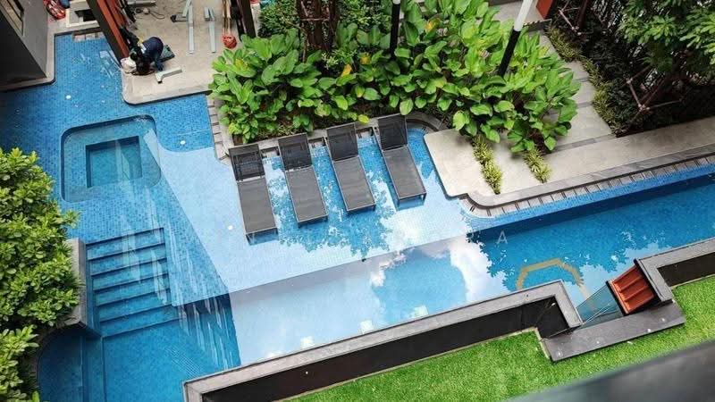 Plum Condo Sukhumvit 97/1, Bangkok, 204 Soi Sukhumvit 97/1, Bang Chak, Phra Khanong, Bangkok, 2 Bedrooms, 37 sqm, Condo For Rent, by Vinit Arora, 500616983 - DDproperty.com