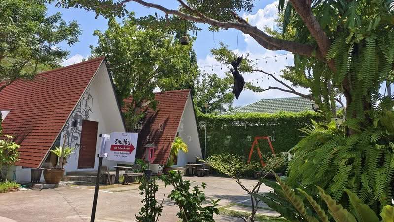 ตำบลเสม็ด อำเภอเมือง จังหวัดชลบุรี, Chon Buri (Pattaya), Samed, Muang Chon Buri, Chon Buri (Pattaya), , 780 sqm, Business For Sale, by Nattipha Thanyawat, 500617256 - DDproperty.com