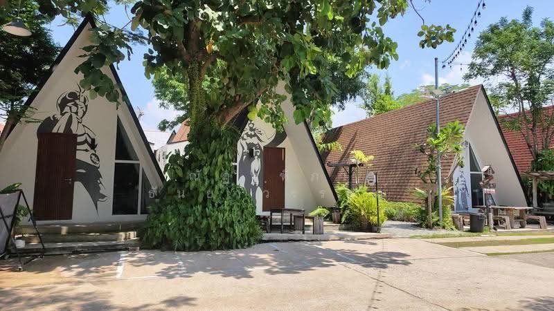 ตำบลเสม็ด อำเภอเมือง จังหวัดชลบุรี, Chon Buri (Pattaya), Samed, Muang Chon Buri, Chon Buri (Pattaya), , 780 sqm, Business For Sale, by Nattipha Thanyawat, 500617256 - DDproperty.com