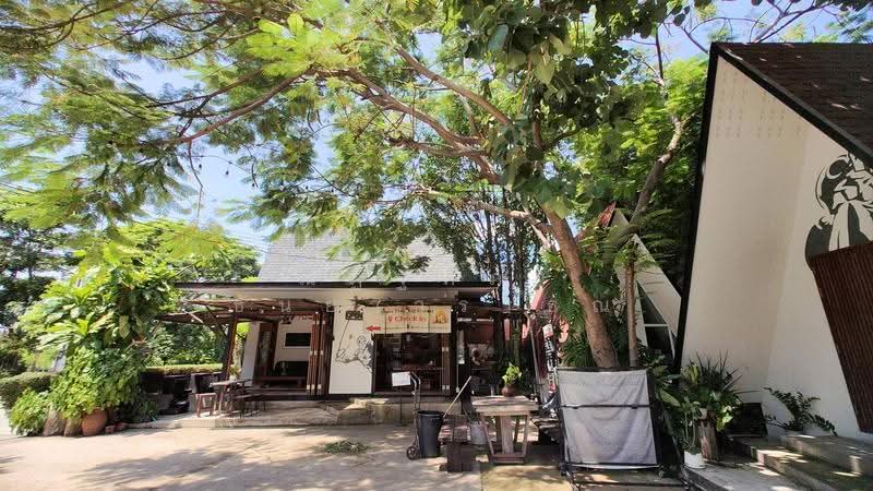 ตำบลเสม็ด อำเภอเมือง จังหวัดชลบุรี, Chon Buri (Pattaya), Samed, Muang Chon Buri, Chon Buri (Pattaya), , 780 sqm, Business For Sale, by Nattipha Thanyawat, 500617256 - DDproperty.com