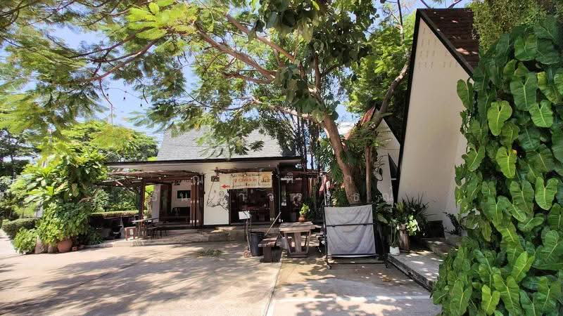 ตำบลเสม็ด อำเภอเมือง จังหวัดชลบุรี, Chon Buri (Pattaya), Samed, Muang Chon Buri, Chon Buri (Pattaya), , 780 sqm, Business For Sale, by Nattipha Thanyawat, 500617256 - DDproperty.com