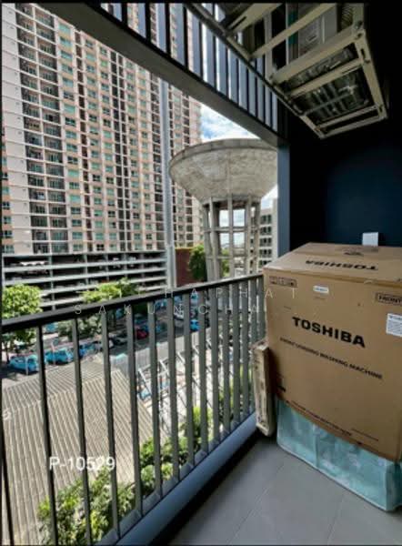 Aspire Onnut Station, Bangkok, Sukhumvit Road, Phra Kanong, Khlong Toei, Bangkok, 1 Bedroom, 32 sqm, Condo For Rent, by Nichaphat Sakunchayapha, 500617373 - DDproperty.com