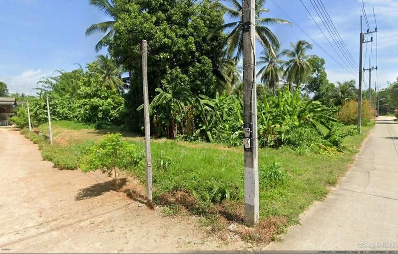 ที่ดินบ้านตาก ตาก, ตาก, ตากออก, บ้านตาก, ตาก, 1,037 ตร.ม., ที่ดิน ขาย, โดย The Best Property นกกี้, 500617418 - DDproperty.com