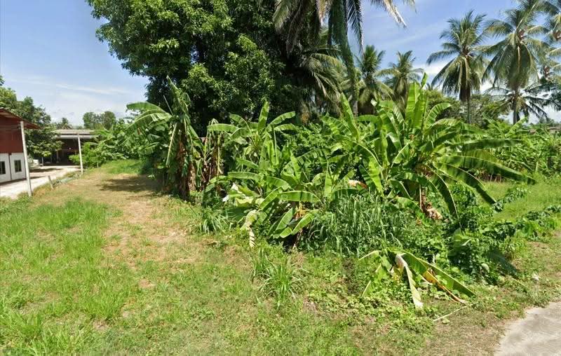 ที่ดินบ้านตาก ตาก, ตาก, ตากออก, บ้านตาก, ตาก, 1,037 ตร.ม., ที่ดิน ขาย, โดย The Best Property นกกี้, 500617418 - DDproperty.com