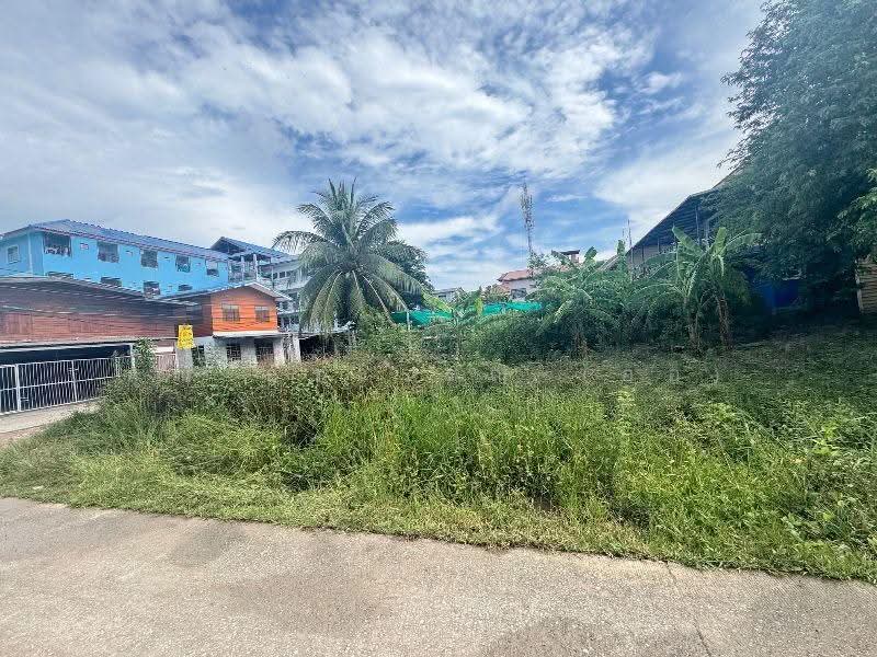 ที่ดิน ซอยเรณูอุทิศ ลาดหลุมแก้ว 120 ตร.ว. ติดถนน 3 ด้าน ห่างถนนใหญ่เพียงประมาณ 100 เมตร, ปทุมธานี, ปทุมธานี-บางเลน, คลองพระอุดม, ลาดหลุมแก้ว, ปทุมธานี, 480 ตร.ม., ที่ดิน ขาย, โดย คุณ อรวรรณ (ออ), 500617419 - DDproperty.com
