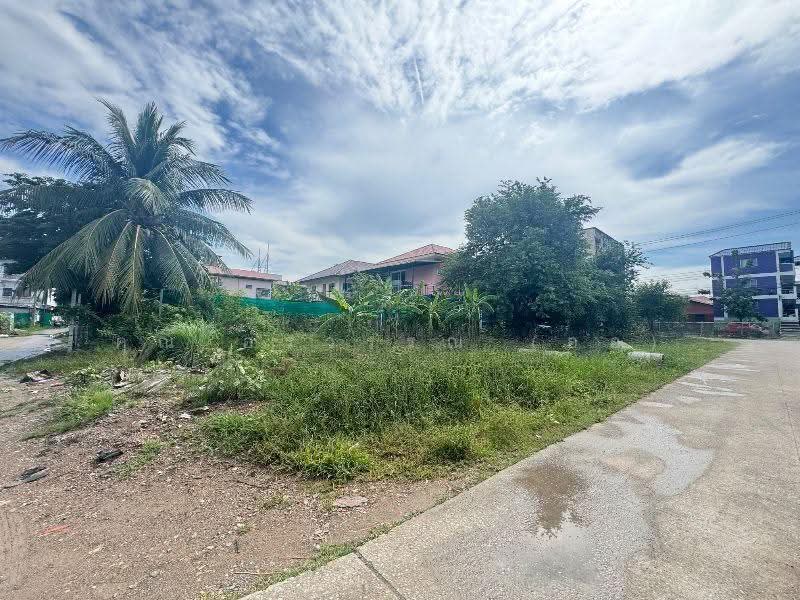 ที่ดิน ซอยเรณูอุทิศ ลาดหลุมแก้ว 120 ตร.ว. ติดถนน 3 ด้าน ห่างถนนใหญ่เพียงประมาณ 100 เมตร, Pathum Thani, ปทุมธานี-บางเลน, Khlong Phra Udom, Lat Lum Kaeo, Pathum Thani, , 480 sqm, Land For Sale, by คุณ อรวรรณ (ออ), 500617419 - DDproperty.com