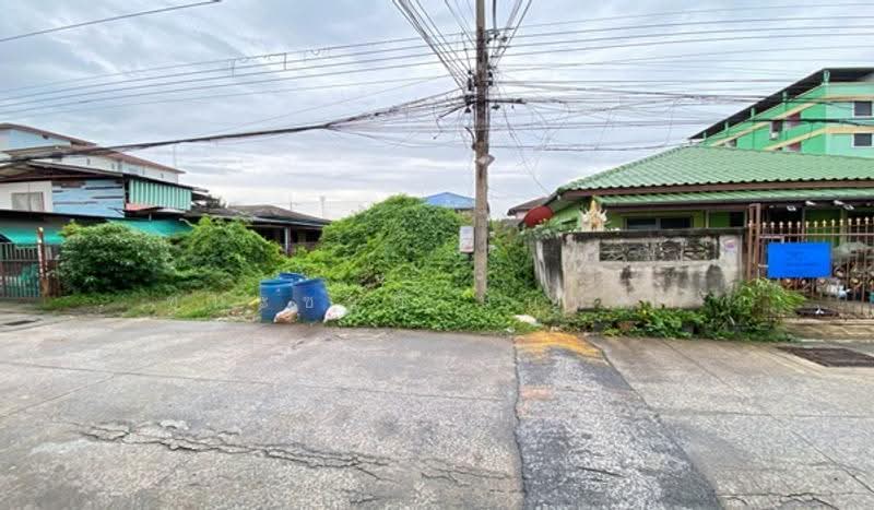 ซอยรังสิต-นครนายก 6, Pathum Thani, Prachathipat, Thanyaburi, Pathum Thani, , 256 sqm, Land For Sale, by ชนะชาติ นนท์ตา, 500617493 - DDproperty.com