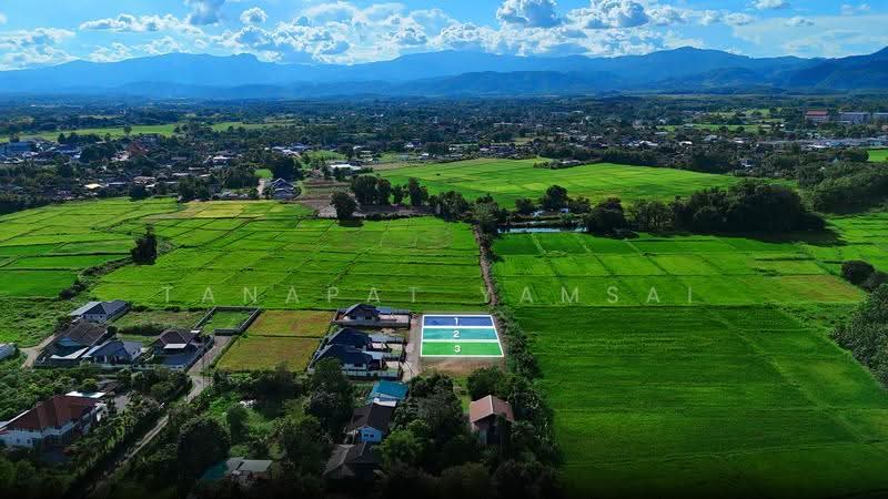 Chiangrai, Chiang Rai, Pa O Don Chai, Muang Chiang Rai, Chiang Rai, , 375 sqm, Land For Sale, by Tanapat Yamsai, 500618031 - DDproperty.com