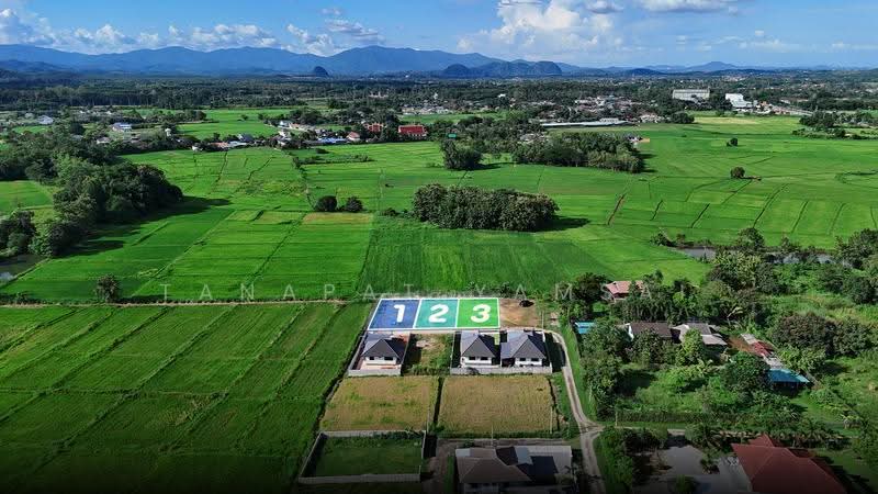 Chiangrai, Chiang Rai, Pa O Don Chai, Muang Chiang Rai, Chiang Rai, , 375 sqm, Land For Sale, by Tanapat Yamsai, 500618031 - DDproperty.com