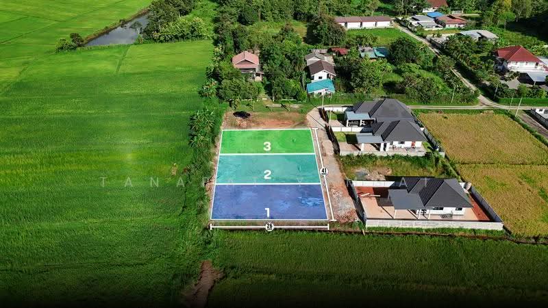 Chiangrai, Chiang Rai, Pa O Don Chai, Muang Chiang Rai, Chiang Rai, , 375 sqm, Land For Sale, by Tanapat Yamsai, 500618031 - DDproperty.com