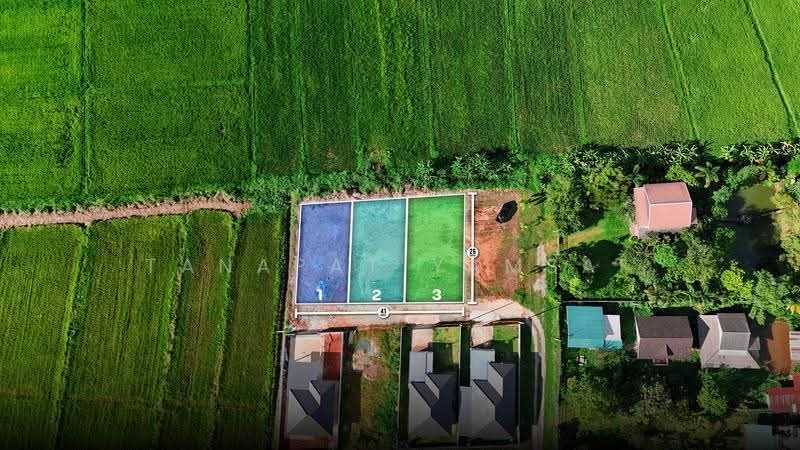 Chiangrai, Chiang Rai, Pa O Don Chai, Muang Chiang Rai, Chiang Rai, , 375 sqm, Land For Sale, by Tanapat Yamsai, 500618031 - DDproperty.com