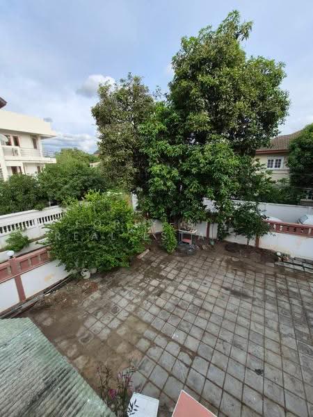 บ้านเดี่ยวให้เช่า โชคชัย 4 ซอย 80, Bangkok, Lat Phrao, Bangkok, 4 Bedrooms, 350 sqm, Single Detached House For Rent, by Forty-Six Real Estate Group, 500618069 - DDproperty.com