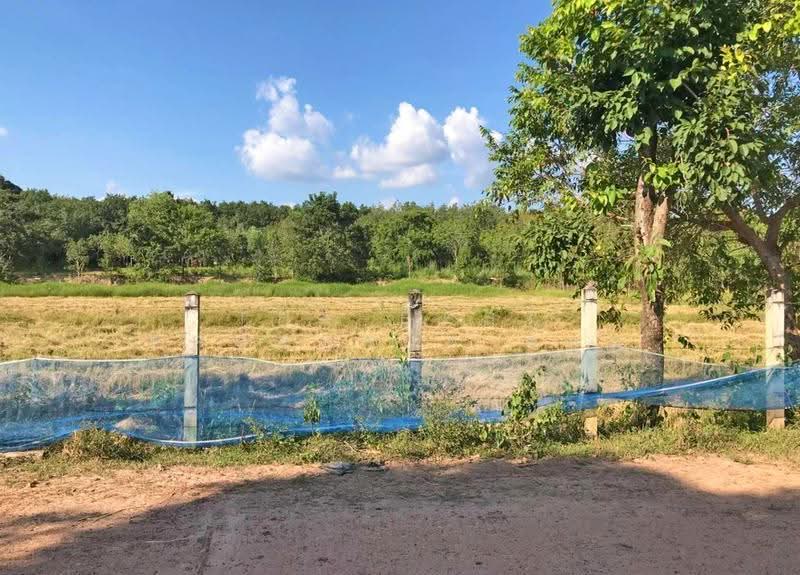 ที่ดินศรีสงคราม นครพนม, นครพนม, ศรีสงคราม, นครพนม, 7,852 ตร.ม., ที่ดิน ขาย, โดย The Best Property ต้อม, 500618136 - DDproperty.com