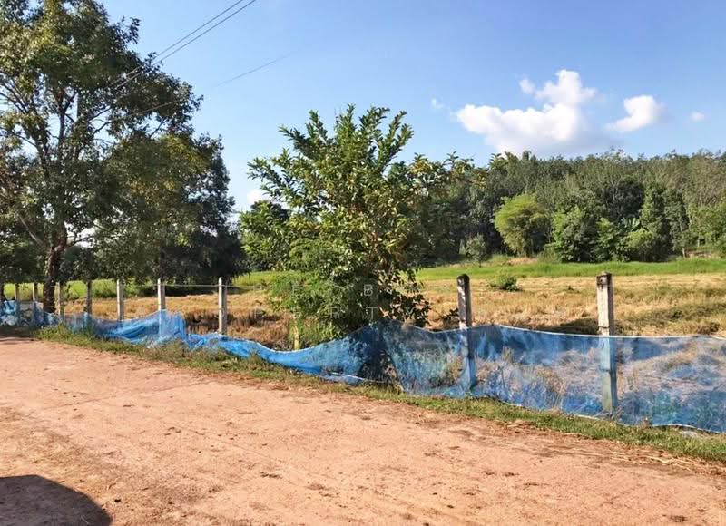 ที่ดินศรีสงคราม นครพนม, Nakhon Phanom, Si Songkhram, Nakhon Phanom, , 7,852 sqm, Land For Sale, by The Best Property ต้อม, 500618136 - DDproperty.com
