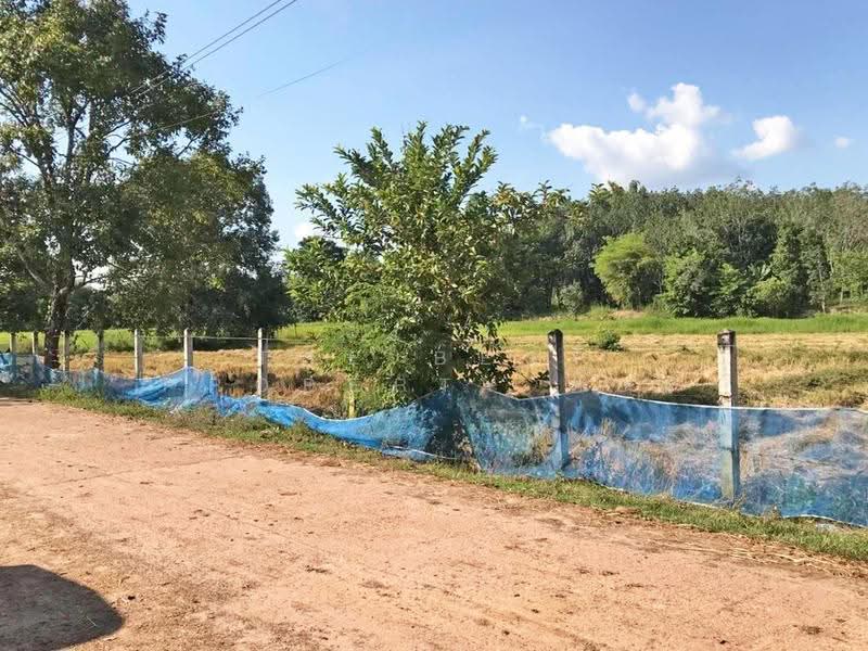 ที่ดินศรีสงคราม นครพนม, นครพนม, ศรีสงคราม, นครพนม, 7,852 ตร.ม., ที่ดิน ขาย, โดย The Best Property ต้อม, 500618136 - DDproperty.com