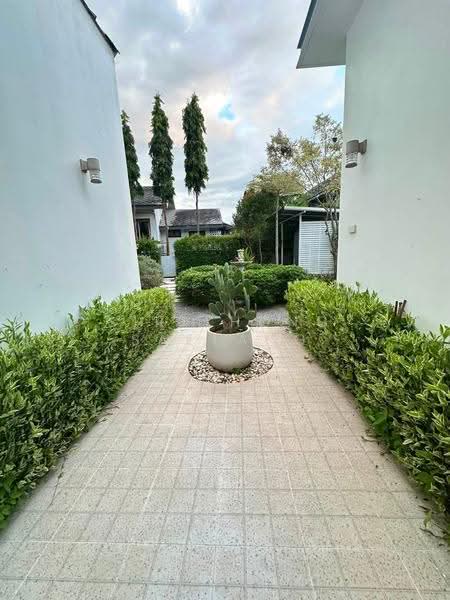 บ้านพักส่วนตัวกลางสวน Tropical Garden ตำบลห้วยสัก เมืองเชียงราย ใกล่ไร่เชิญตะวัน, เชียงราย, ห้วยสัก, เมืองเชียงราย, เชียงราย, 200 ตร.ม., บ้านเดี่ยว ให้เช่า, โดย Sirithong Saetang, 500618140 - DDproperty.com