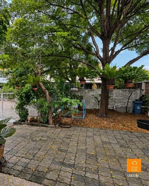 Supalai Ville Sukhumvit-Phraeksa : ศุภาลัย วิลล์ สุขุมวิท-แพรกษา, สมุทรปราการ, ถนนแพรกษา, แพรกษา, เมืองสมุทรปราการ, สมุทรปราการ, 160 ตร.ม., บ้านเดี่ยว ขาย, โดย ภัทรพล ศรีกัลยาณบุตร, 500618199 - DDproperty.com