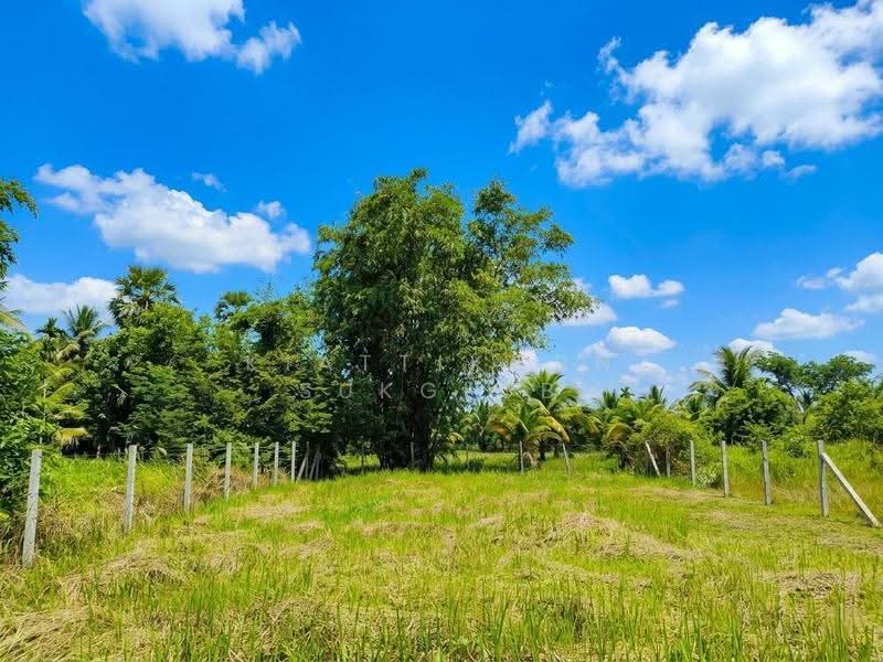 จ.นครศรีธรรมราช, Nakhon Si Thammarat, Pak Nakhon, Muang Nakhon Sri Thammarat, Nakhon Si Thammarat, , 264 sqm, Land For Sale, by KIATTIKORN SUKGLUB, 500618328 - DDproperty.com