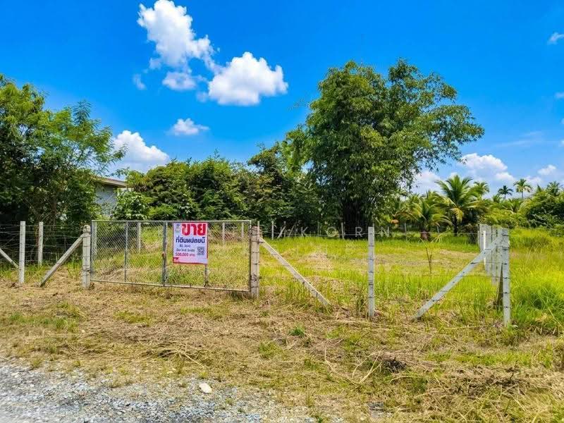 จ.นครศรีธรรมราช, Nakhon Si Thammarat, Pak Nakhon, Muang Nakhon Sri Thammarat, Nakhon Si Thammarat, , 264 sqm, Land For Sale, by KIATTIKORN SUKGLUB, 500618328 - DDproperty.com
