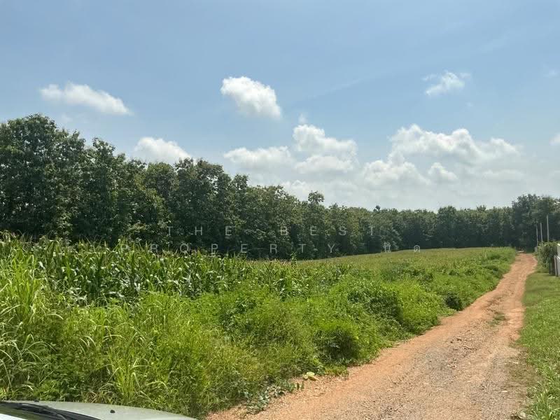 ที่ดินลับแล อุตรดิตถ์, Uttaradit, Thung Yang, Laplae, Uttaradit, , 7,919 sqm, Land For Sale, by The Best Property นิด, 500618348 - DDproperty.com
