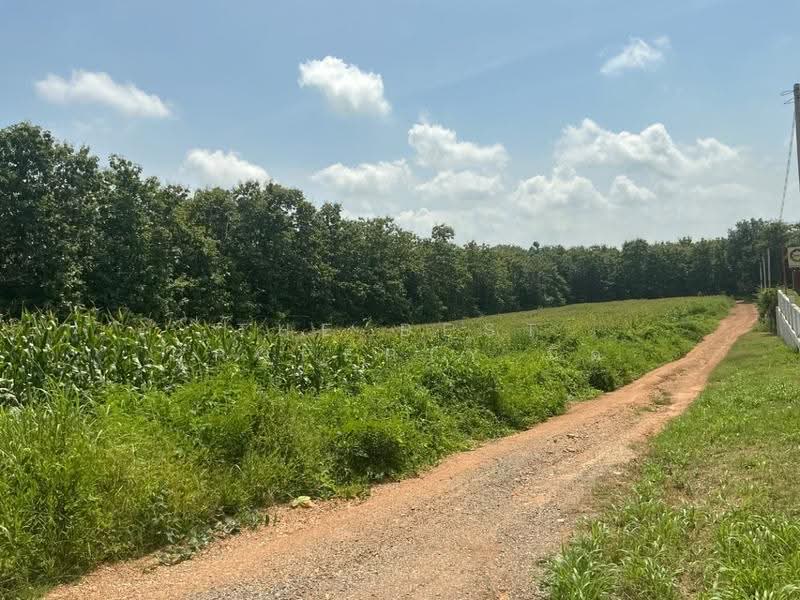 ที่ดินลับแล อุตรดิตถ์, Uttaradit, Thung Yang, Laplae, Uttaradit, , 7,919 sqm, Land For Sale, by The Best Property นิด, 500618348 - DDproperty.com