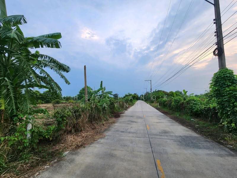 บึงบอน, ปทุมธานี, บึงบอน, หนองเสือ, ปทุมธานี, 1,600 ตร.ม., ที่ดิน ขาย, โดย Chekchanok Chuaynual, 500618350 - DDproperty.com
