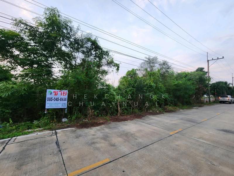 บึงบอน, ปทุมธานี, บึงบอน, หนองเสือ, ปทุมธานี, 1,600 ตร.ม., ที่ดิน ขาย, โดย Chekchanok Chuaynual, 500618350 - DDproperty.com