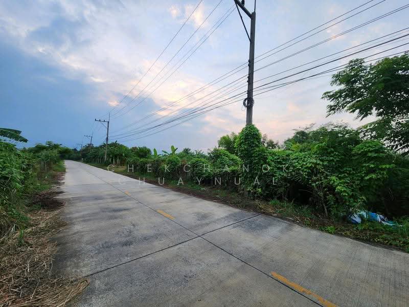 บึงบอน, Pathum Thani, Bung Bon, Nong Sua, Pathum Thani, , 1,600 sqm, Land For Sale, by Chekchanok Chuaynual, 500618350 - DDproperty.com