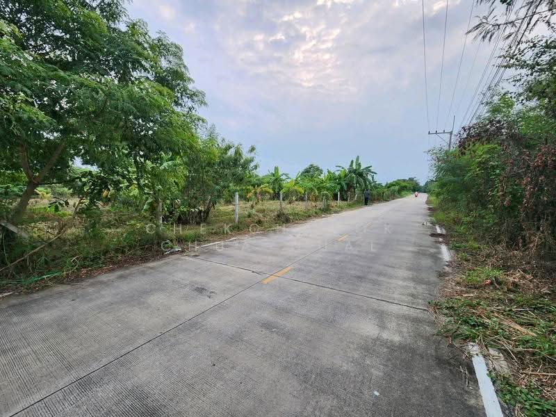 บึงบอน, ปทุมธานี, บึงบอน, หนองเสือ, ปทุมธานี, 1,600 ตร.ม., ที่ดิน ขาย, โดย Chekchanok Chuaynual, 500618350 - DDproperty.com