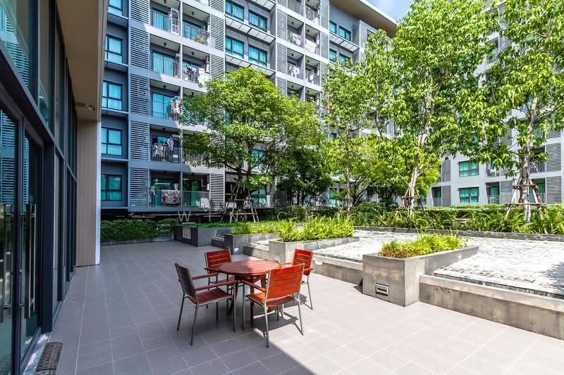 Aspen Condo Lasalle, Bangkok, Soi Sukhumvit 105 (Lasalle), Bang Na, Bangkok, 1 Bedroom, 27 sqm, Condo For Rent, by Win Chan, 500618357 - DDproperty.com