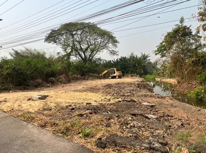 ที่ดินบ้านโฮ่ง ลำพูน, ลำพูน, บ้านโฮ่ง, ลำพูน, 1,620 ตร.ม., ที่ดิน ขาย, โดย The Best Property นา, 500618358 - DDproperty.com