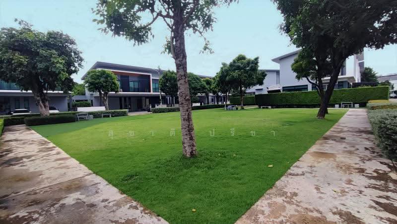 Chewarom Rangsit - Don Mueang : ชีวารมย์ รังสิต-ดอนเมือง , ปทุมธานี, ถนน รังสิต - นครนายก, ประชาธิปัตย์, ธัญบุรี, ปทุมธานี, 240 ตร.ม., บ้านเดี่ยว ขาย, โดย สุชาติ ปรีชา, 500618365 - DDproperty.com